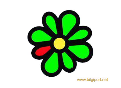icq_PNG9.png