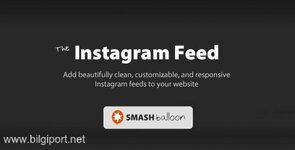 Instagram Feed Pro Developer.jpg