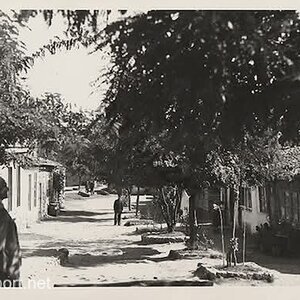Tavşanlı