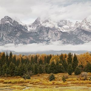 163770__mountains-gray-sky-clouds-fog-forest-trees-autumn_p