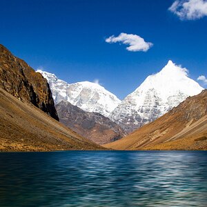 himalaya-crown.jpg