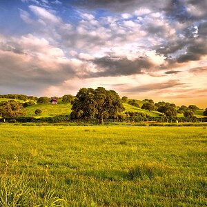 plain_greens_sun_326_1440x900.jpg