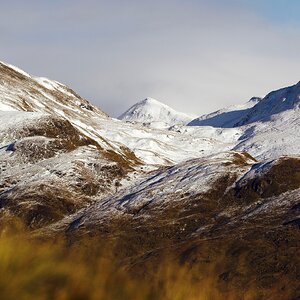 Tumblr_l_1703031112792813.jpg