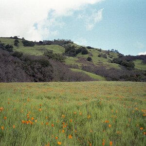 Tumblr_l_1037144335949971.jpg