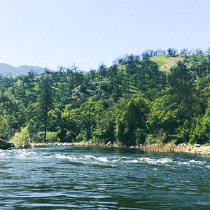 Tumblr_l_1088099950962084.gif