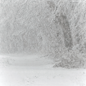 Tumblr_l_2696514136077339.gif