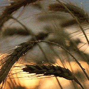 Tumblr_l_2696384361723486.gif
