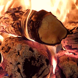 Tumblr_l_23250533019308.gif