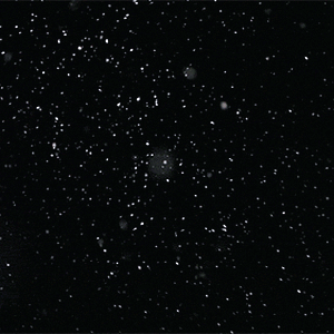 Tumblr_l_23148598580533.gif