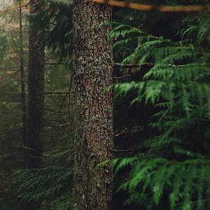 Tumblr_l_548392596113225.jpg