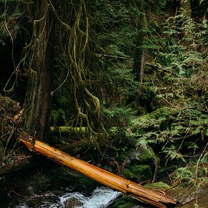 Tumblr_l_548384311101301.jpg