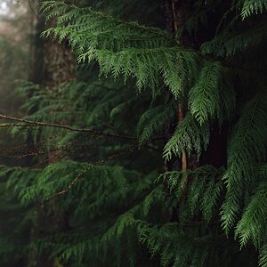 Tumblr_l_548367949622531.jpg
