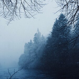 Tumblr_l_1109900091647000.jpg