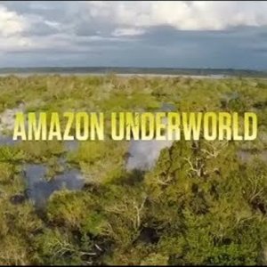 Amazon'un Bilinmeyenleri (Belgesel)