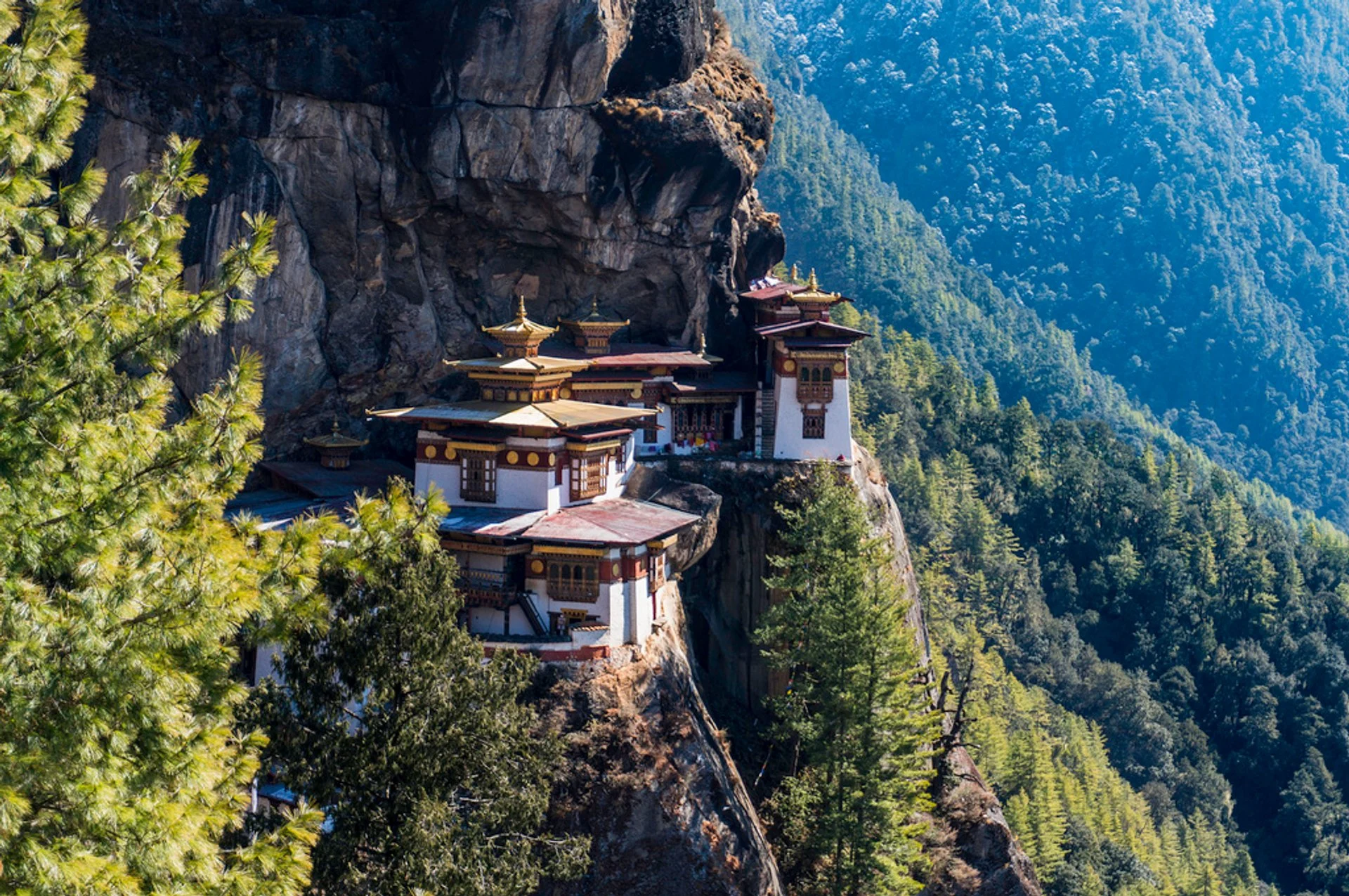 bhutan-tigers-nest-paro-taktsang.webp
