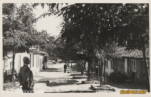 Kütahya - Tavşanlı