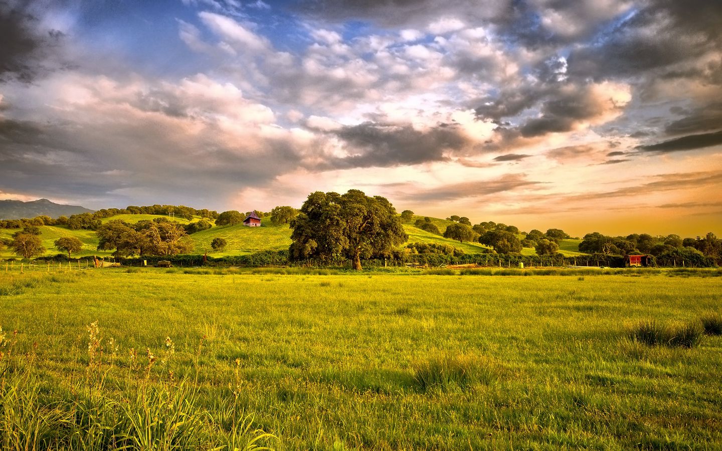 plain_greens_sun_326_1440x900.jpg