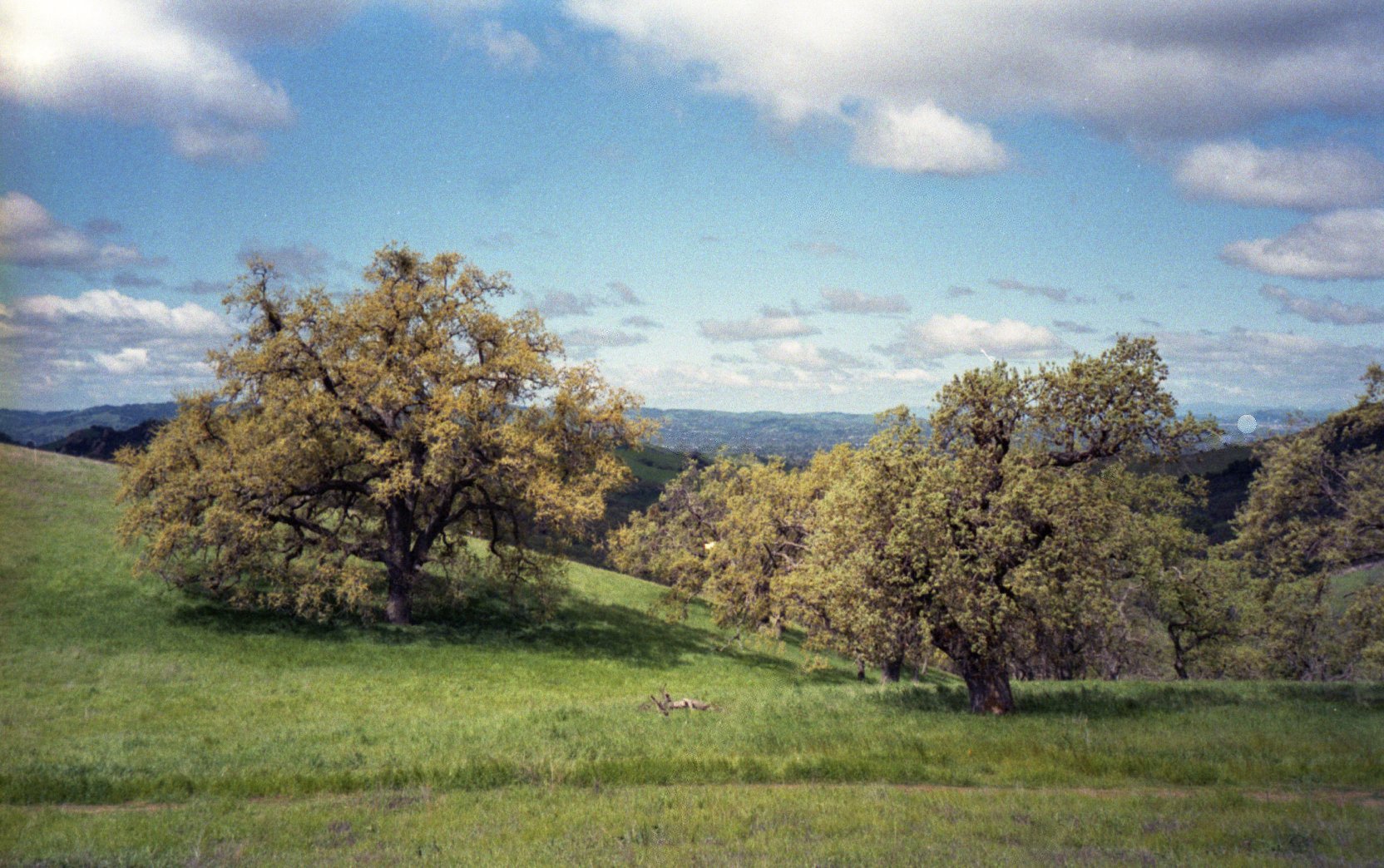 Tumblr_l_1037125363403124.jpg