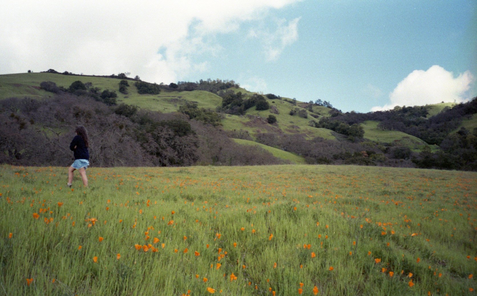 Tumblr_l_1037144335949971.jpg