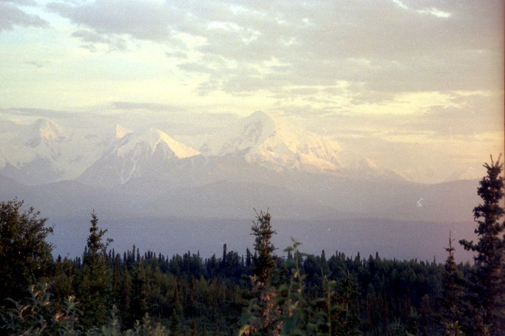 Tumblr_l_1037174870803434.jpg
