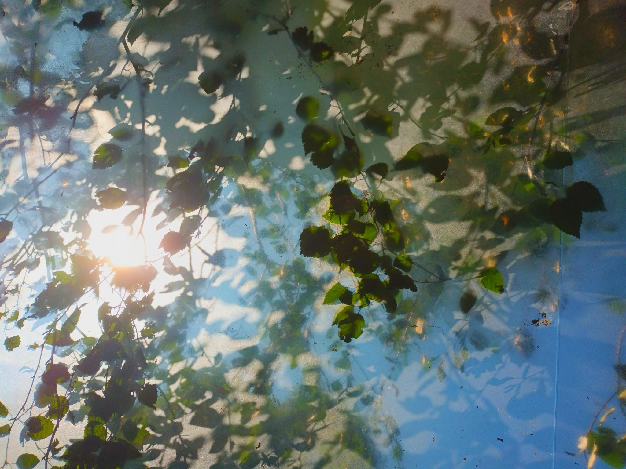 Tumblr_l_1037186526431127.jpg