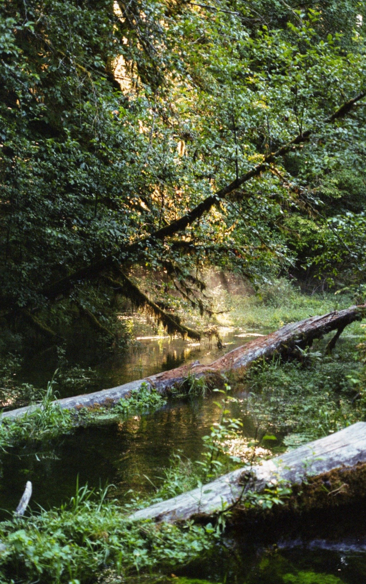 Tumblr_l_1037195488284128.jpg