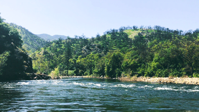 Tumblr_l_1088099950962084.gif