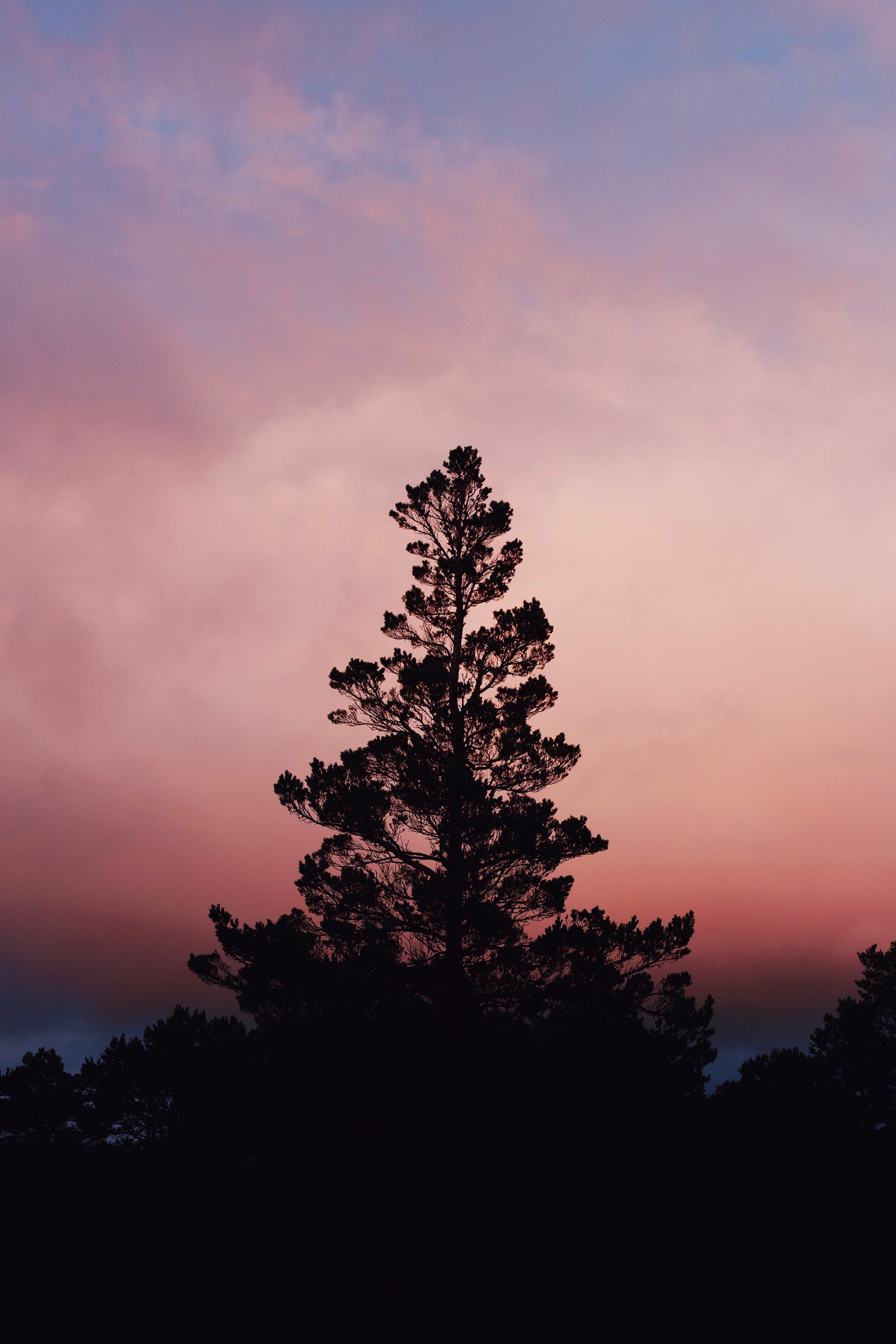 Tumblr_l_1109867489203845.jpg
