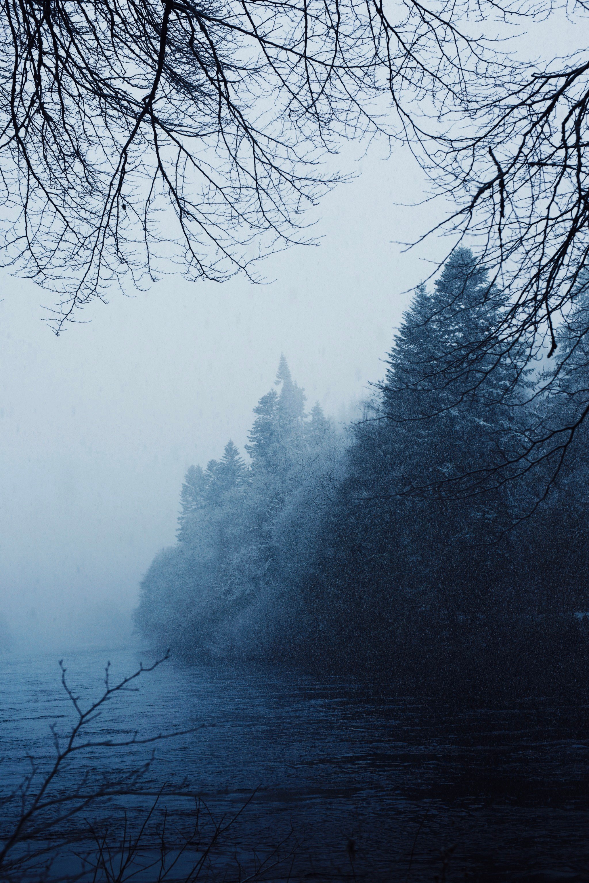 Tumblr_l_1109900091647000.jpg