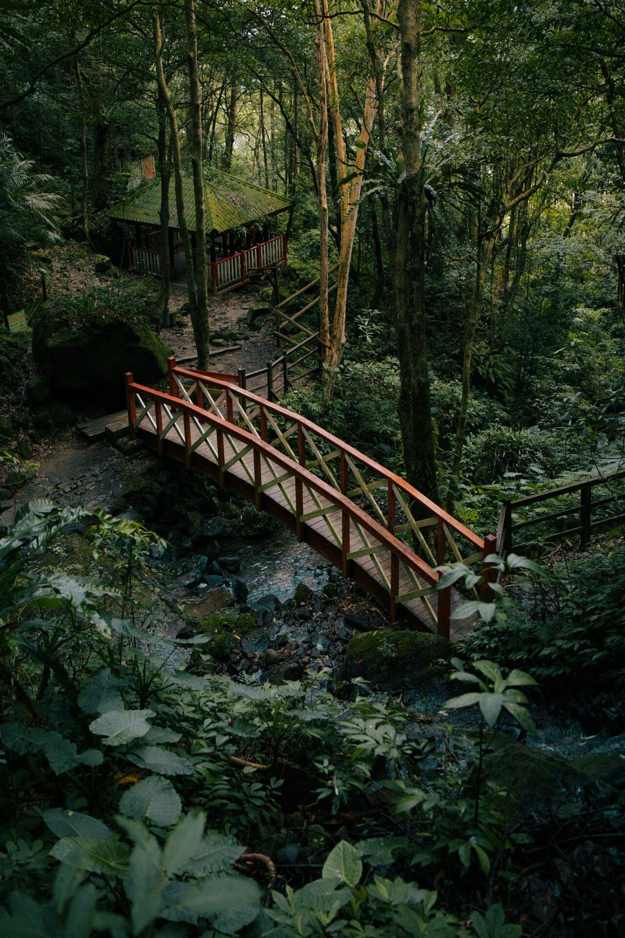 Tumblr_l_21299191524038.jpg