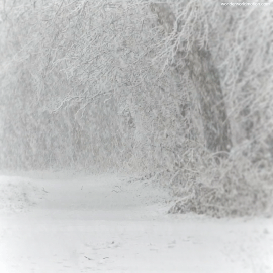 Tumblr_l_2696514136077339.gif