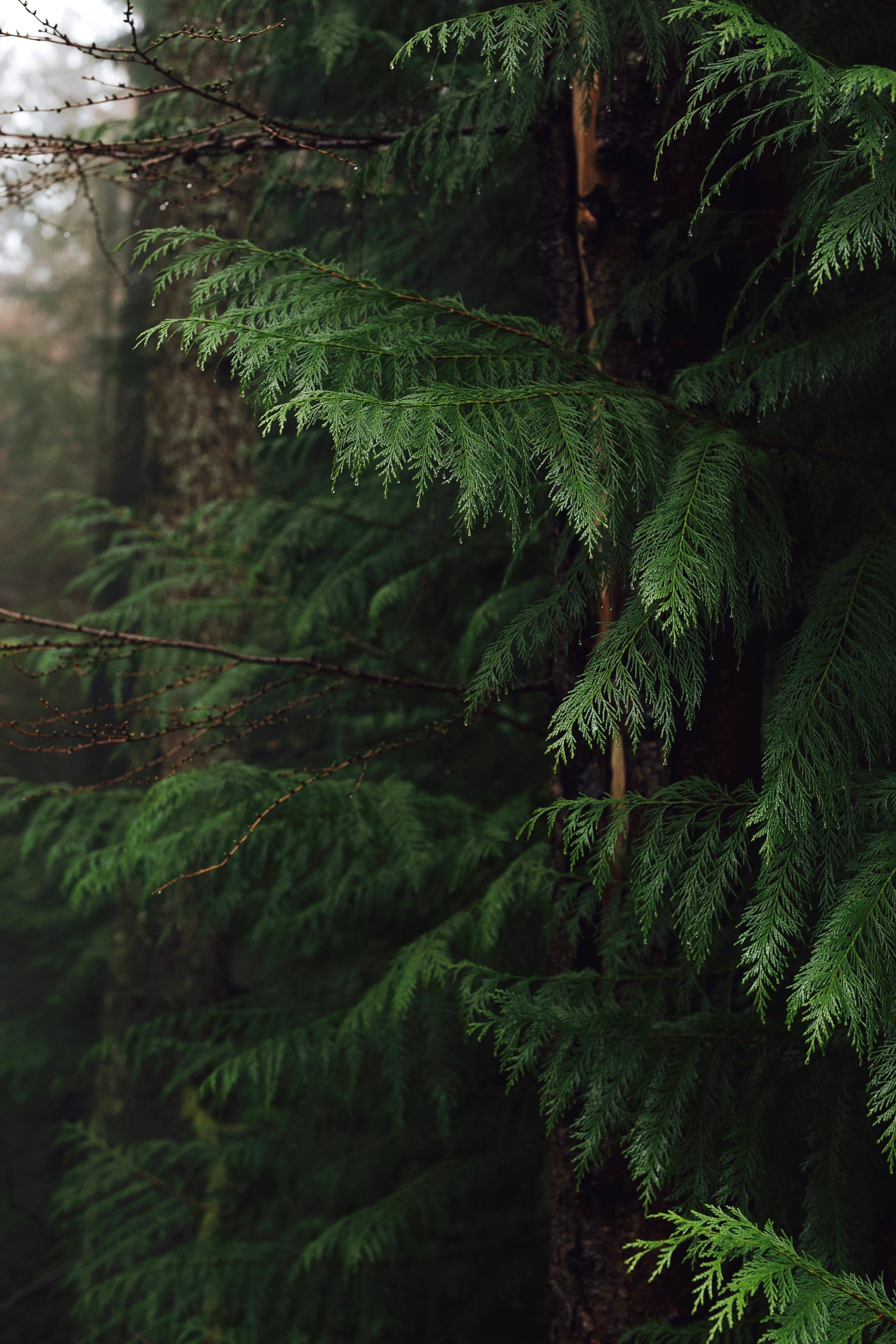 Tumblr_l_548367949622531.jpg