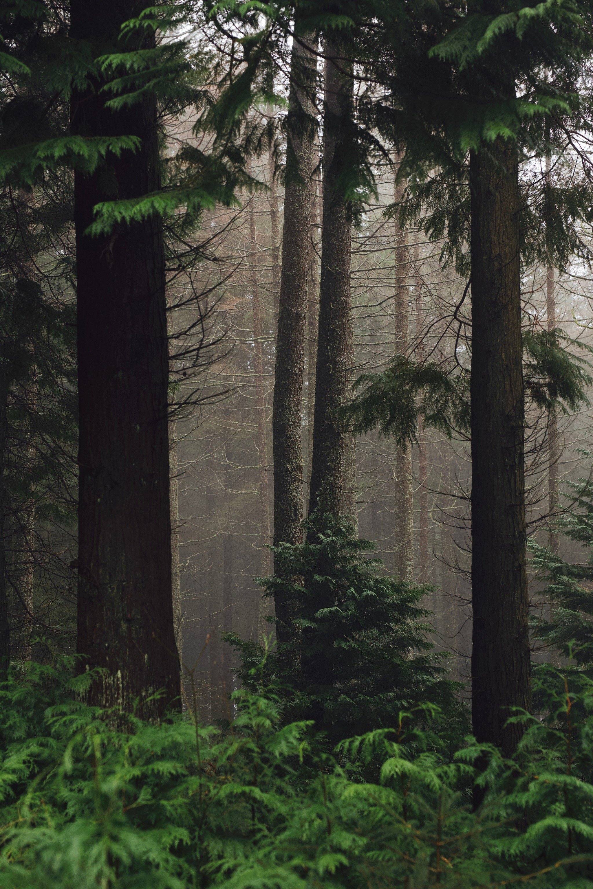 Tumblr_l_548374062617916.jpg