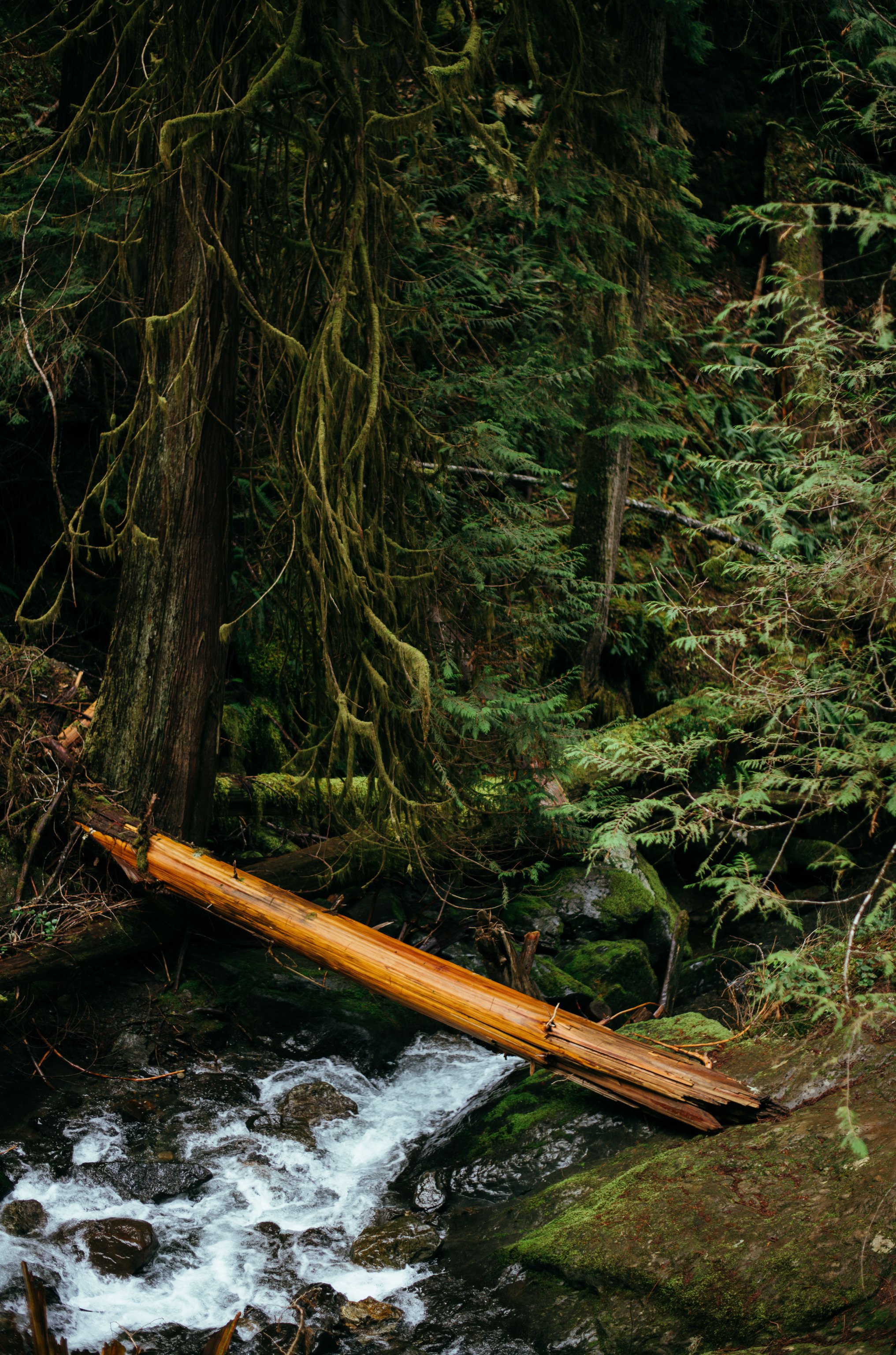 Tumblr_l_548384311101301.jpg