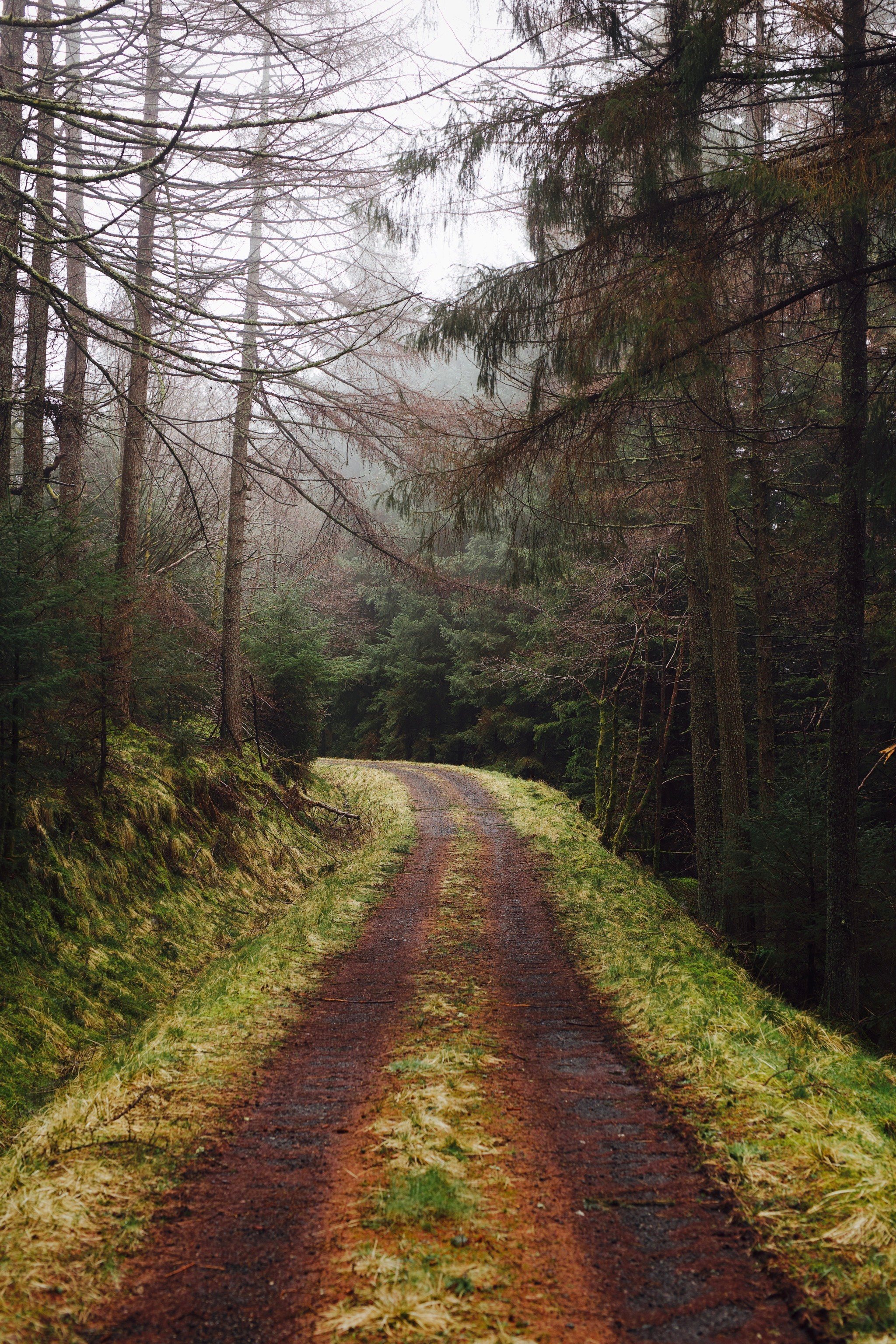 Tumblr_l_548388897047147.jpg