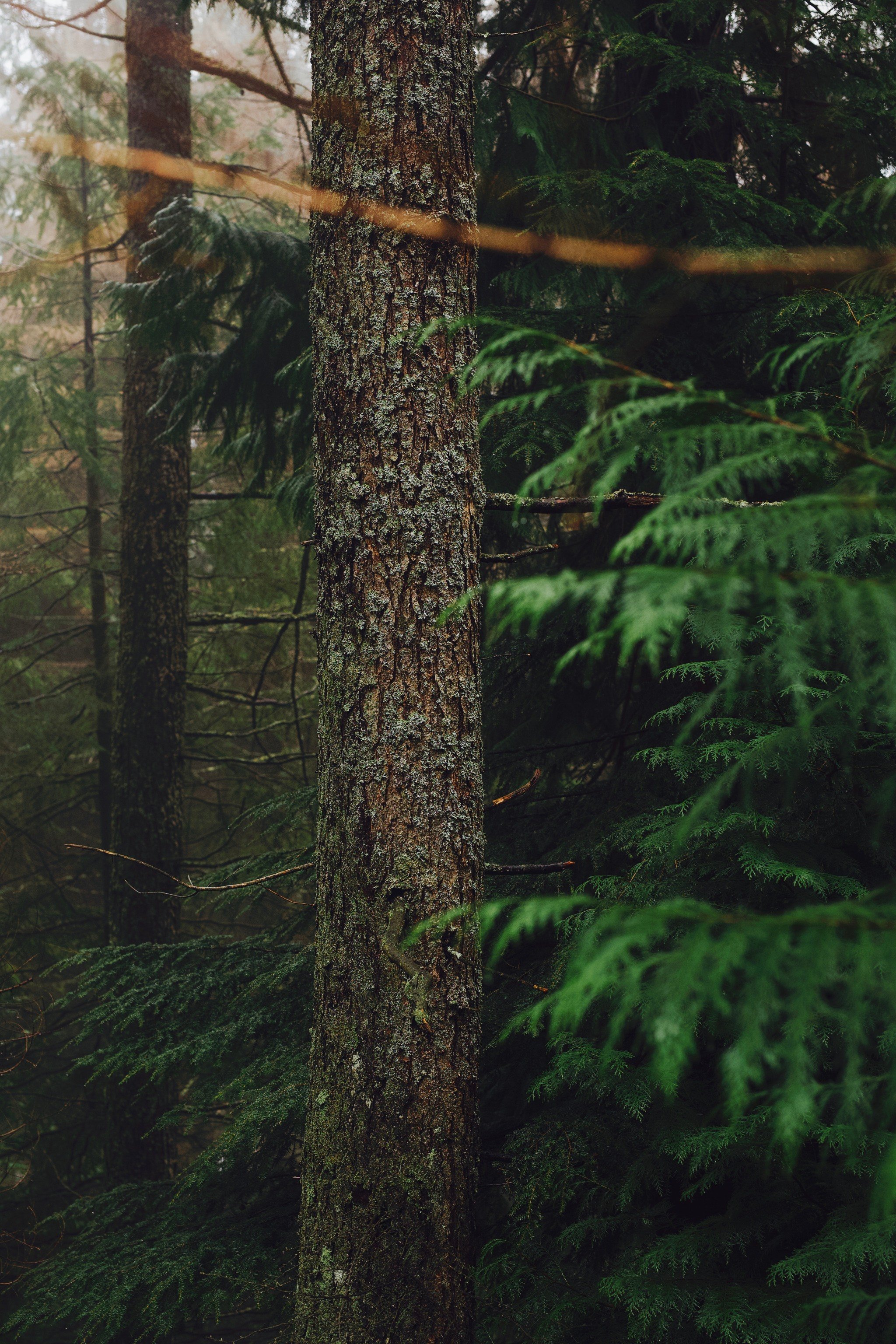 Tumblr_l_548392596113225.jpg